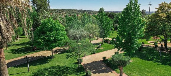 مستودع في Abrantes, Portugal 2588متر مربع رقم 50323 20