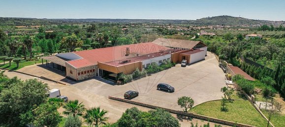 مستودع في Abrantes, Portugal 2588متر مربع رقم 50323 19