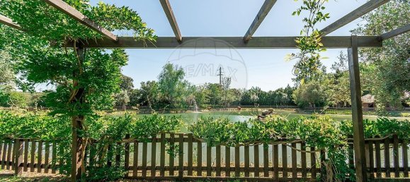 مستودع في Abrantes, Portugal 2588متر مربع رقم 50323 7