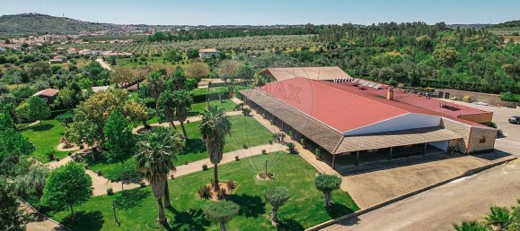 مستودع في Abrantes, Portugal 2588متر مربع رقم 50323 18