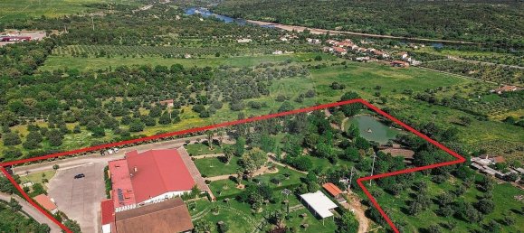 مستودع في Abrantes, Portugal 2588متر مربع رقم 50323 25