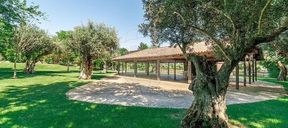 مستودع في Abrantes, Portugal 2588متر مربع رقم 50323 3