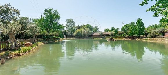 مستودع في Abrantes, Portugal 2588متر مربع رقم 50323 5