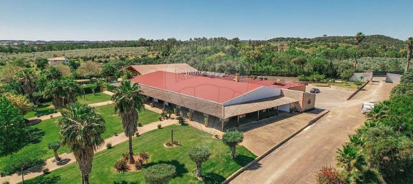 مستودع في Abrantes, Portugal 2588متر مربع رقم 50323 29