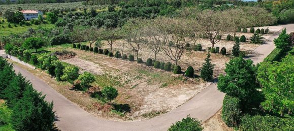 مستودع في Abrantes, Portugal 2588متر مربع رقم 50323 23