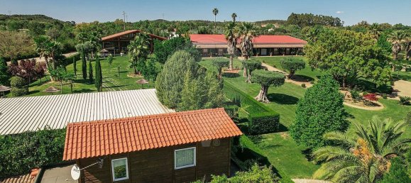 مستودع في Abrantes, Portugal 2588متر مربع رقم 50323 30