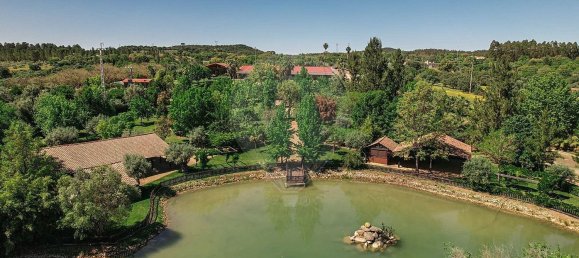 مستودع في Abrantes, Portugal 2588متر مربع رقم 50323 22