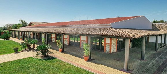 مستودع في Abrantes, Portugal 2588متر مربع رقم 50323 33