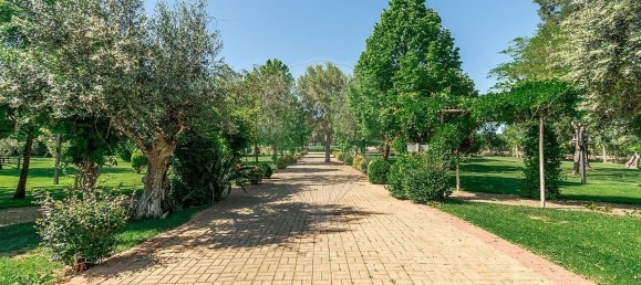 مستودع في Abrantes, Portugal 2588متر مربع رقم 50323 49