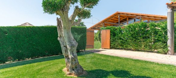 مستودع في Abrantes, Portugal 2588متر مربع رقم 50323 47