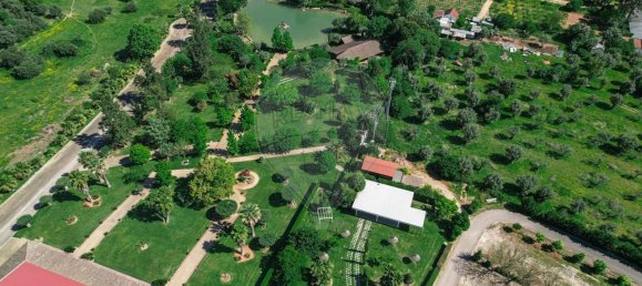 مستودع في Abrantes, Portugal 2588متر مربع رقم 50323 24