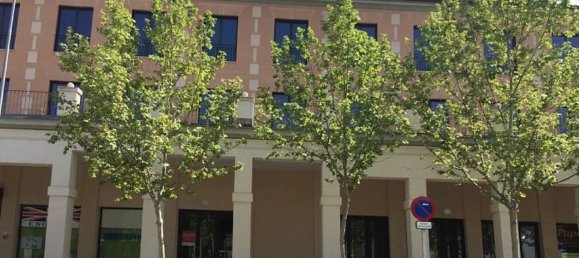 78m² Commercial property in Aranjuez, Spain No. 168108 3