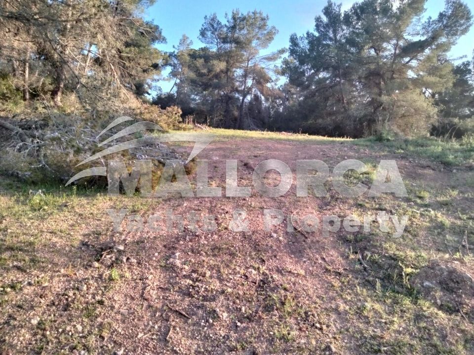 335m² Land in Felanitx, Spain No. 277009