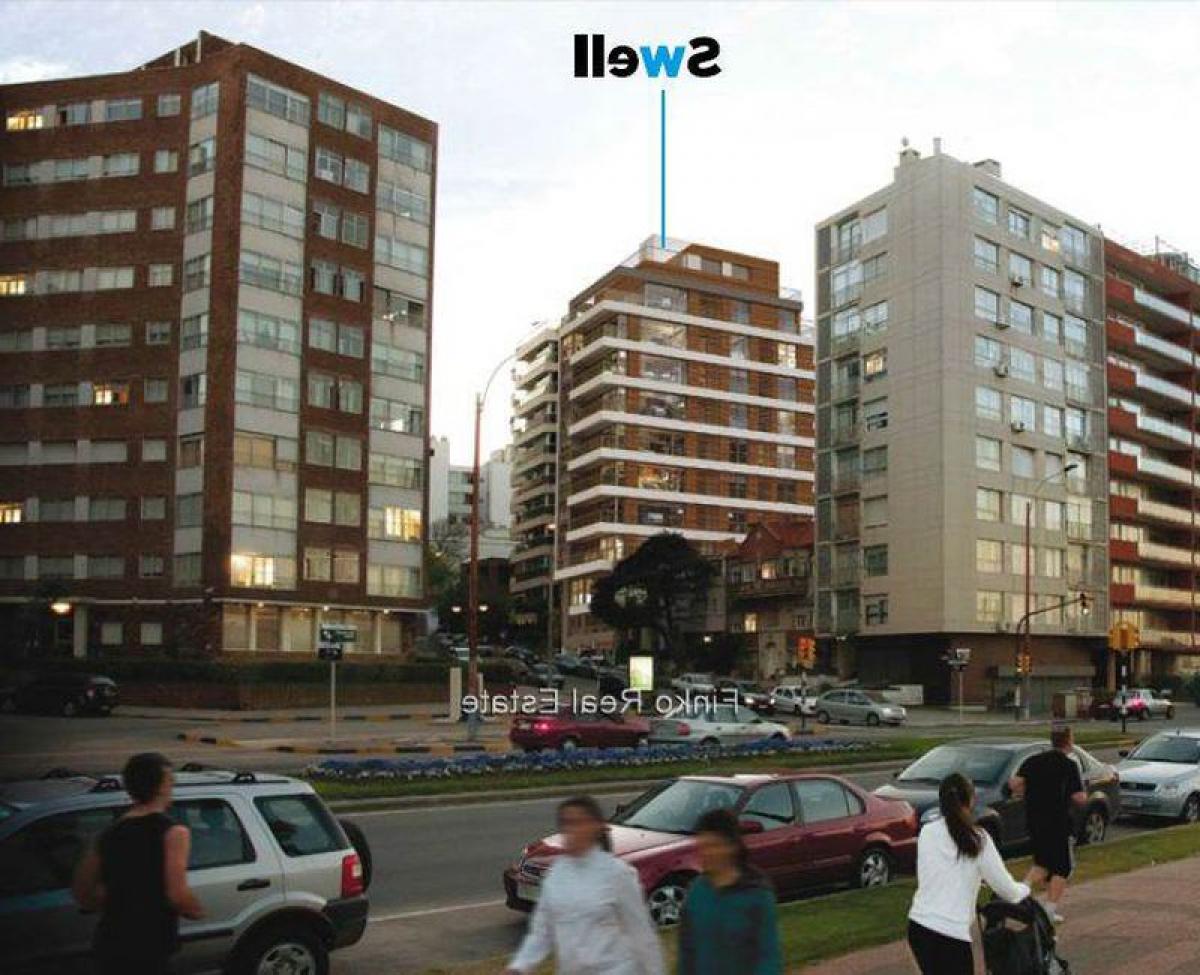 Studio in Montevideo, Uruguay No. 2068