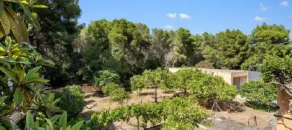 Villa T4 em Costa De La Calma, Spain N.º 173950 13