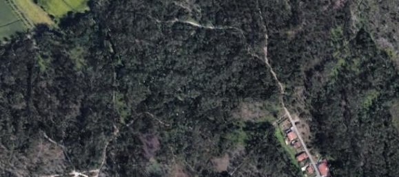  Land in Pousa, Portugal No. 190225 4