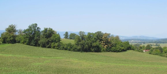 3 rooms House in Deutschlandsberg, Austria No. 225749 7