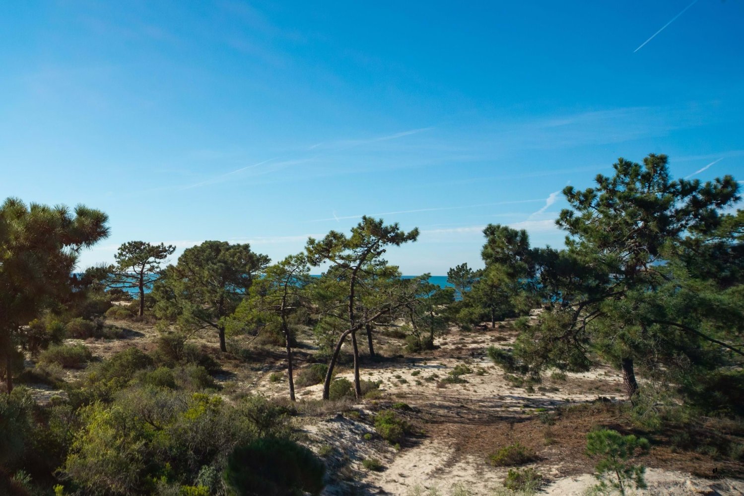 Apartamento de 3 dormitorios en Grandola, Portugal No. 126283