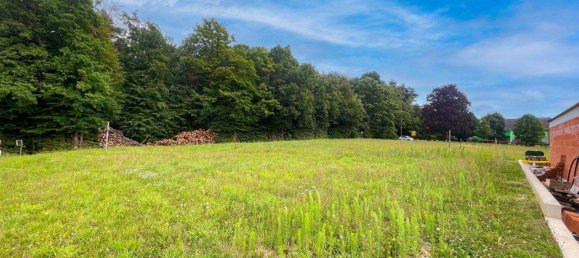 Земельный участок в Вайц, Австрия № 228685 7