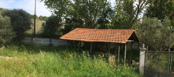 5 bedrooms House in Santarem, Portugal No. 146380 12