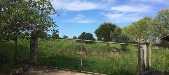 5 bedrooms House in Santarem, Portugal No. 146380 8