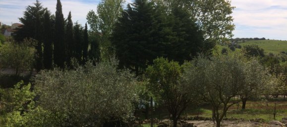 5 bedrooms House in Santarem, Portugal No. 146380 23