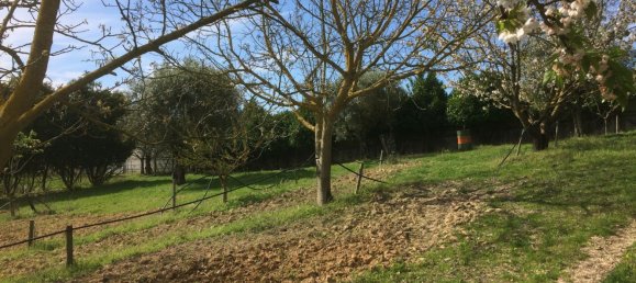 5 bedrooms House in Santarem, Portugal No. 146380 21