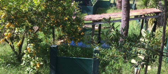 5 bedrooms House in Santarem, Portugal No. 146380 30