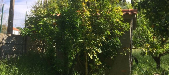 5 bedrooms House in Santarem, Portugal No. 146380 44