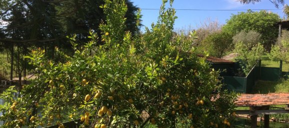 5 bedrooms House in Santarem, Portugal No. 146380 31