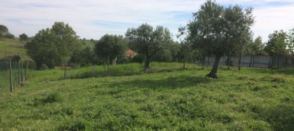 5 bedrooms House in Santarem, Portugal No. 146380 14