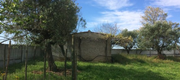 5 bedrooms House in Santarem, Portugal No. 146380 13