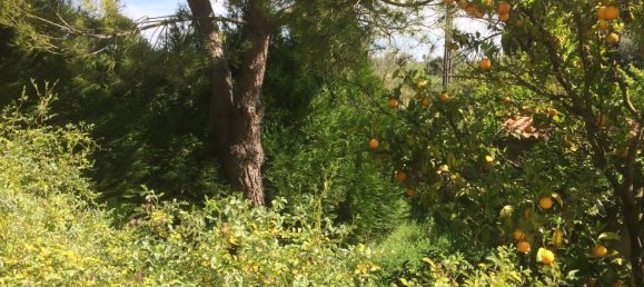 5 bedrooms House in Santarem, Portugal No. 146380 42