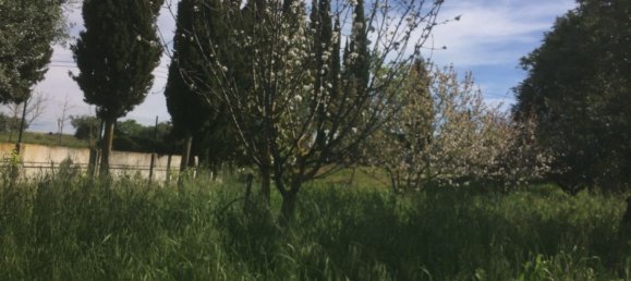 5 bedrooms House in Santarem, Portugal No. 146380 45