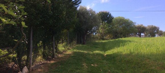 5 bedrooms House in Santarem, Portugal No. 146380 11