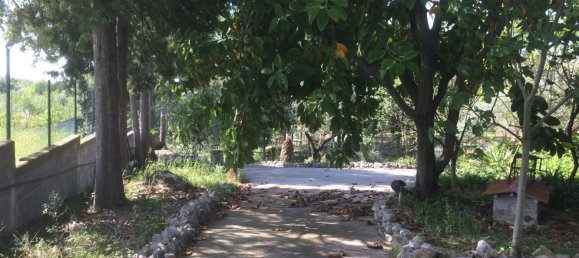 5 bedrooms House in Santarem, Portugal No. 146380 37