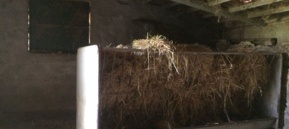 5 bedrooms House in Santarem, Portugal No. 146380 16