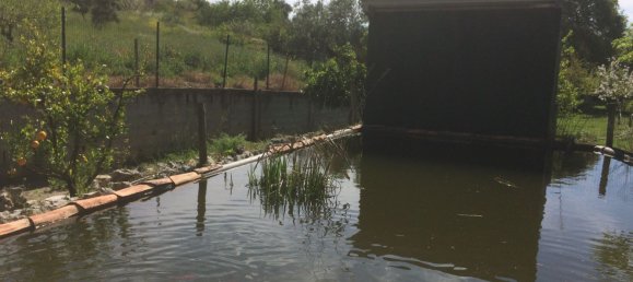 5 bedrooms House in Santarem, Portugal No. 146380 49