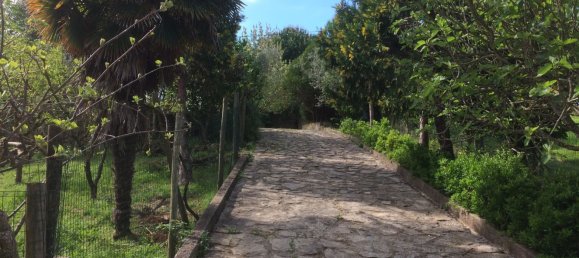 5 bedrooms House in Santarem, Portugal No. 146380 10