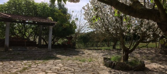 5 bedrooms House in Santarem, Portugal No. 146380 19