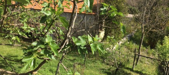 5 bedrooms House in Santarem, Portugal No. 146380 24