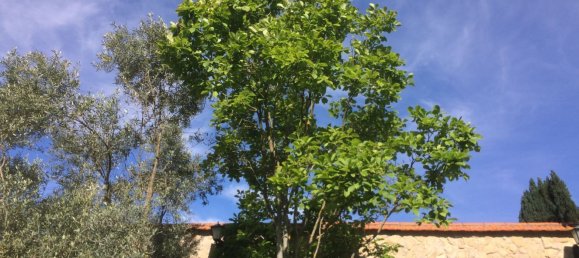 5 bedrooms House in Santarem, Portugal No. 146380 34