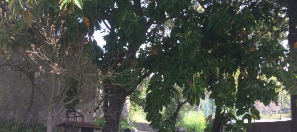 5 bedrooms House in Santarem, Portugal No. 146380 35