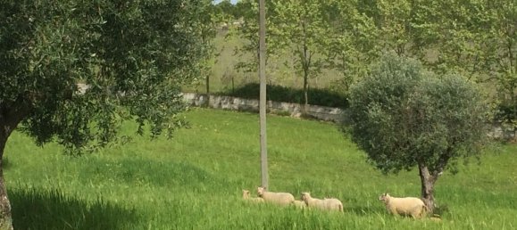 5 bedrooms House in Santarem, Portugal No. 146380 9