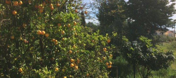 5 bedrooms House in Santarem, Portugal No. 146380 41