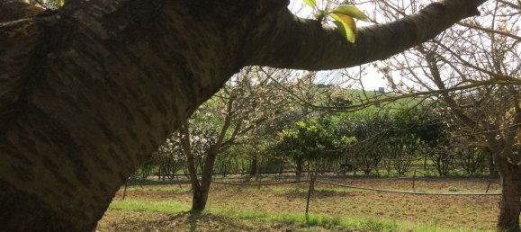 5 bedrooms House in Santarem, Portugal No. 146380 20