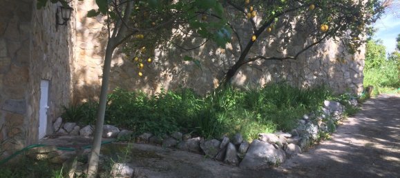 5 bedrooms House in Santarem, Portugal No. 146380 36