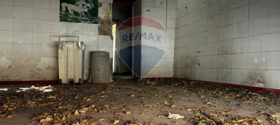 Propiedad comercial de 3 habitaciónes en Catania, Italy No. 54900 3