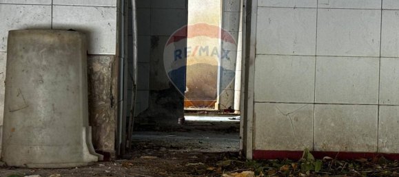 Propiedad comercial de 3 habitaciónes en Catania, Italy No. 54900 7