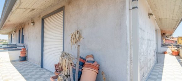 4-Zimmer Wohnung in Misterbianco, Italy, Nr. 258426 22